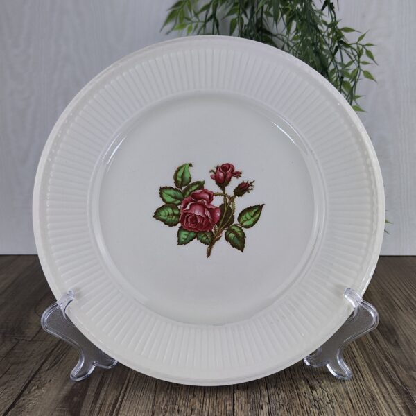 Wedgwood Moss Rose Dinerbord 26 cm