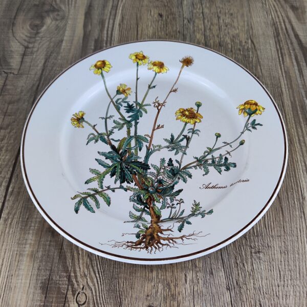 Villeroy & Boch Botanica Bord 23,5 cm