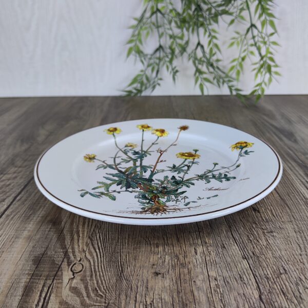 Villeroy & Boch Botanica Bord 23,5 cm