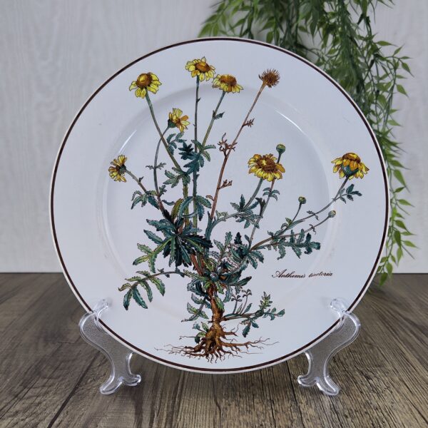 Villeroy & Boch Botanica Bord 23,5 cm