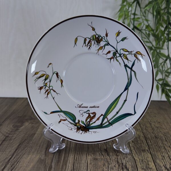 Villeroy & Boch Botanica Schotel voor Jumbo Kop 1