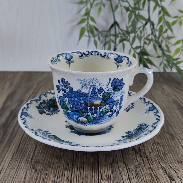 's Fruit Basket Blue Kop en Schotel 1