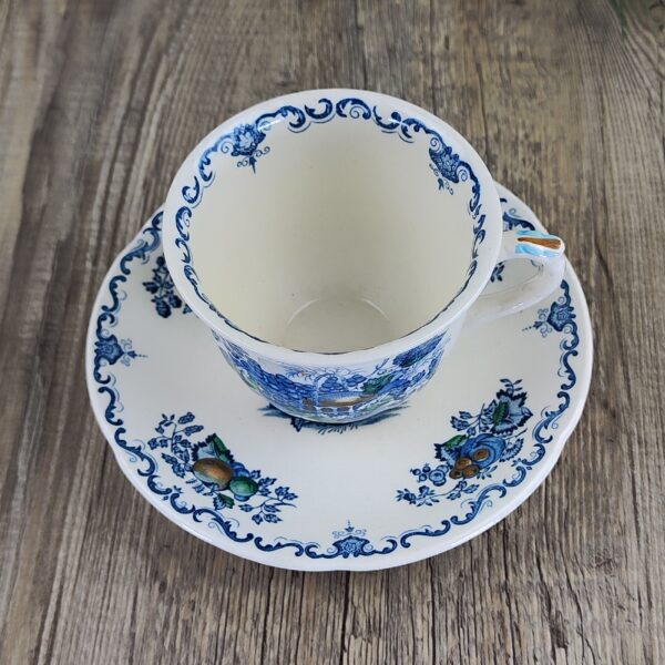 's Fruit Basket Blue Kop en Schotel 2