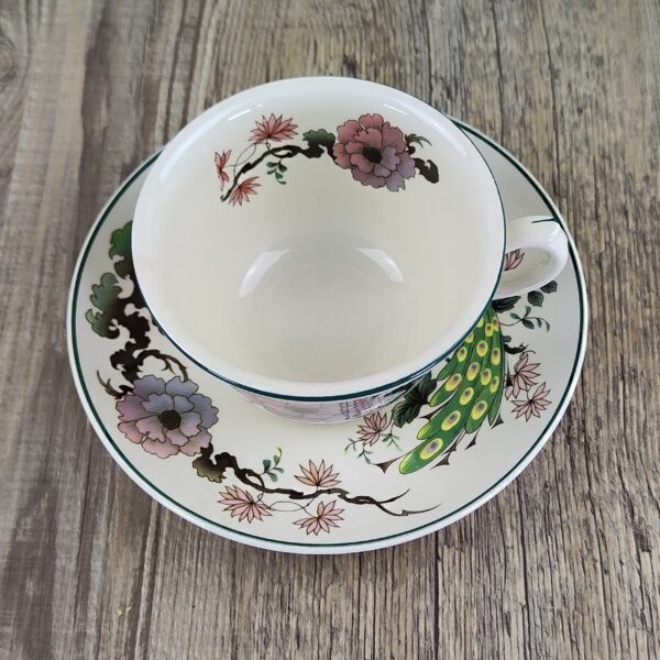 Myott Meakin Dynasty Collection Exotic Garden Theekop en Schotel 2