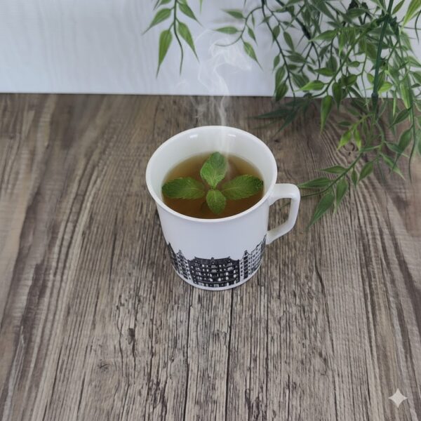 Villeroy & Boch Amsterdam Mok met Oor Brouwersgracht 168-204 4