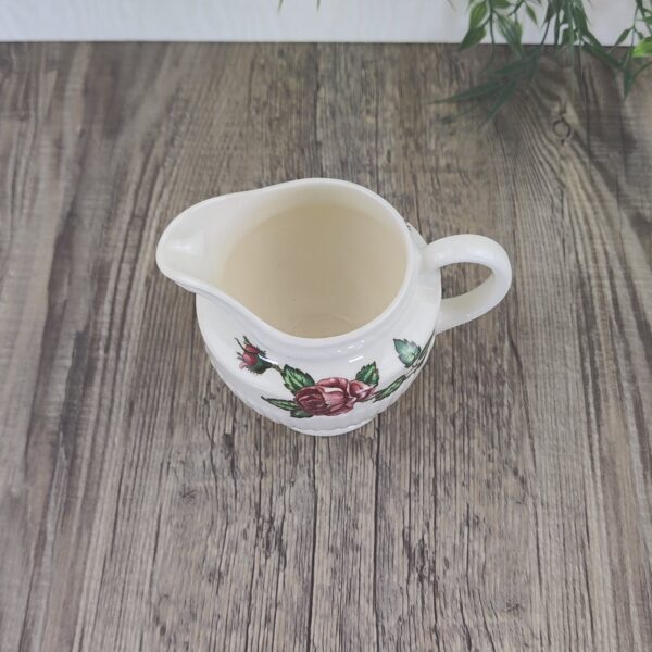 Wedgwood Moss Rose Melk-Roomkannetje groot 2