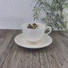 Wedgwood Moss Rose Theekop & schotel 9cm 1