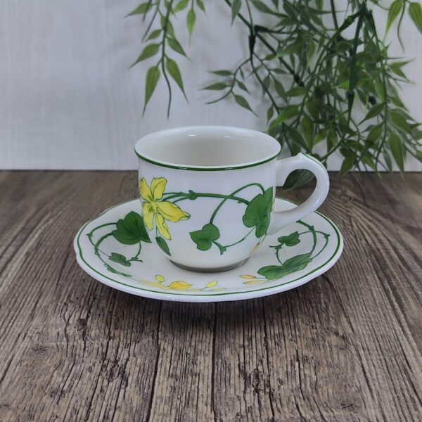 Villeroy & Boch Geranium Espressokop en Schotel 1