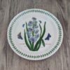 Portmeirion Botanic Garden Bord 22cm Hyacinthus Orientalis 3