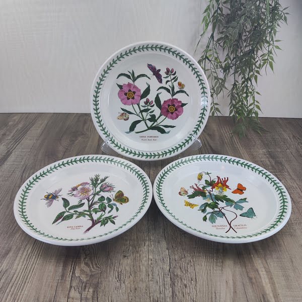 Portmeirion Botanic Garden