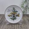 Villeroy & Boch Botanica Petit Four Bordje 12cm Chrysanthemum