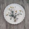 Villeroy & Boch Botanica Quiche- / Taartvorm 29,2cm