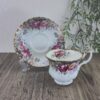 Royal Albert Autumn Roses Herenkop & schotel 3