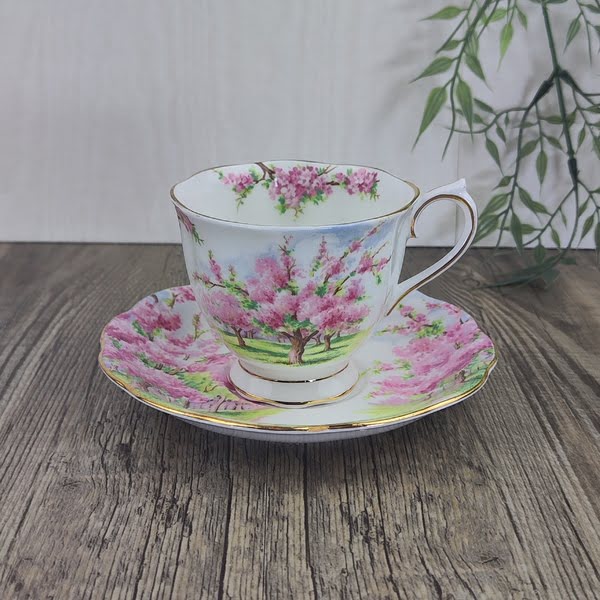 Royal Albert Blossom Time Kop en Schotel 1