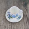 Royal Albert Forget Me Not Kop en Schotel 2