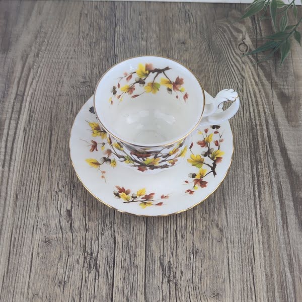 Royal Albert Woodland Series Dameskop & schotel ‘Robin’ 2