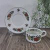 Villeroy & Boch Summerday Kop en Schotel 3