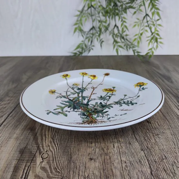 Villeroy & Boch Botanica Bord 23,5 cm