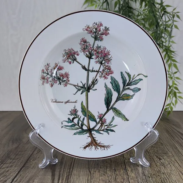 Villeroy & Boch Botanica Diep Bord 22 cm Villeroy & Boch Botanica Diep Bord 22 cm