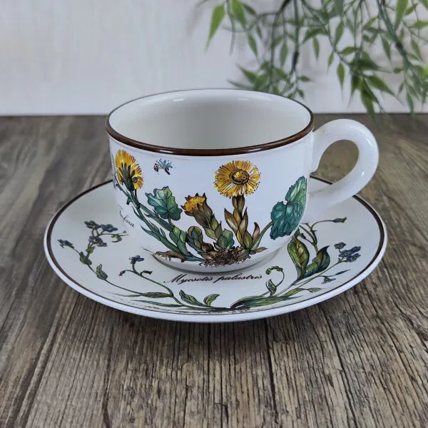 Villeroy & Boch Botanica Kop en Schotel 1 Villeroy & Boch Botanica Kop en Schotel 1