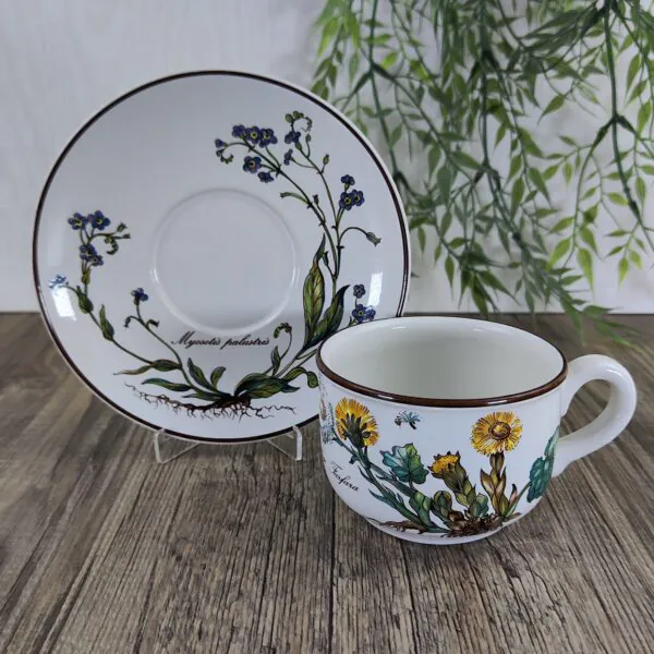 Villeroy & Boch Botanica Kop en Schotel 3 Villeroy & Boch Botanica Kop en Schotel 3