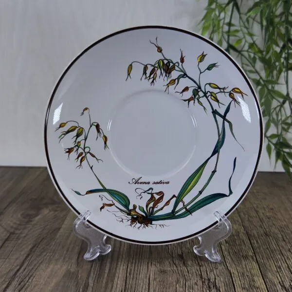 Villeroy & Boch Botanica Schotel voor Jumbo Kop 1 Villeroy & Boch Botanica Schotel voor Jumbo Kop 1