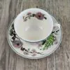Myott Meakin Dynasty Collection Exotic Garden Theekop en Schotel 2 Myott Meakin Dynasty Collection Exotic Garden Theekop en Schotel 2