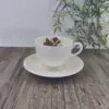 Wedgwood Moss Rose Theekop & schotel 9cm 1 Wedgwood Moss Rose Theekop & schotel 9cm 1