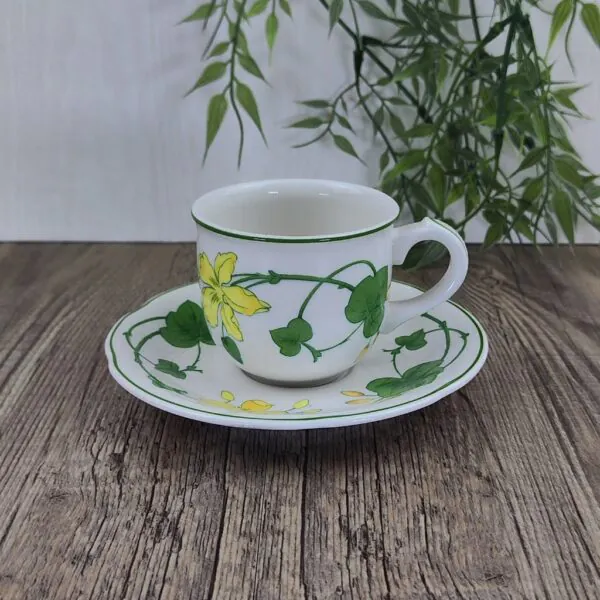 Villeroy & Boch Geranium Espressokop en Schotel 1 Villeroy & Boch Geranium Espressokop en Schotel 1