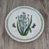 Portmeirion Botanic Garden Bord 22cm Hyacinthus Orientalis 3