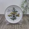 Villeroy & Boch Botanica Petit Four Bordje 12cm Chrysanthemum Villeroy & Boch Botanica Petit Four Bordje 12cm Chrysanthemum