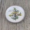 Villeroy & Boch Botanica Petit Four Bordje 12cm Chrysanthemum Villeroy & Boch Botanica Petit Four Bordje 12cm Chrysanthemum