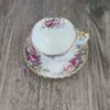 Royal Albert Autumn Roses Herenkop & schotel 2 Royal Albert Autumn Roses Herenkop & schotel 2