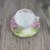 Royal Albert Blossom Time Kop en Schotel 2 Royal Albert Blossom Time Kop en Schotel 2