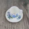 Royal Albert Forget Me Not Kop en Schotel 2 Royal Albert Forget Me Not Kop en Schotel 2