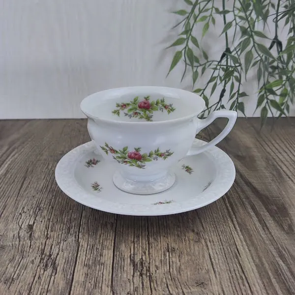 Rosenthal Maria Moosrose Kontinental Theekop en Schotel 1 Rosenthal Maria Moosrose Kontinental Theekop en Schotel 1