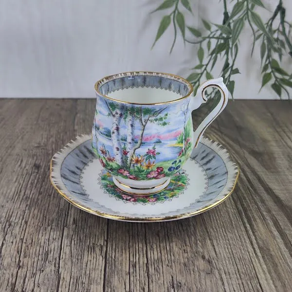 Royal Albert Silver Birch Kop en Schotel 1 Royal Albert Silver Birch Kop en Schotel 1