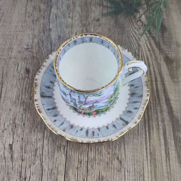 Royal Albert Silver Birch Kop en Schotel 2