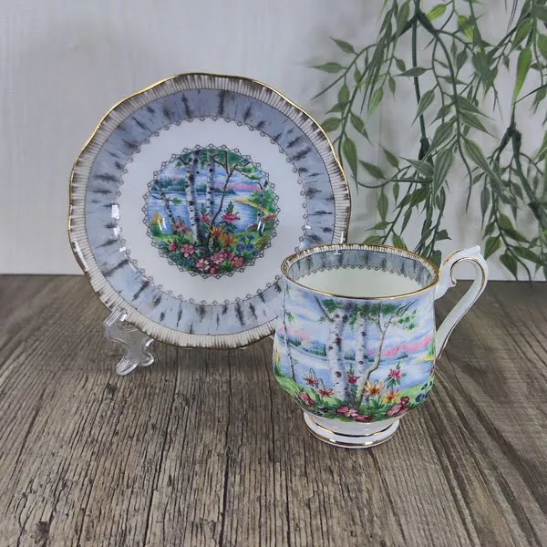 Royal Albert Silver Birch Kop en Schotel 3 Royal Albert Silver Birch Kop en Schotel 3
